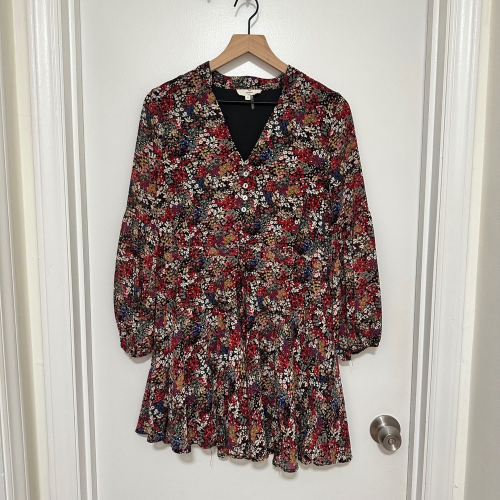 ENTRO | Floral V Neck‎ Button Front Long Balloon Sleeve Chiffon Mini Dress, S